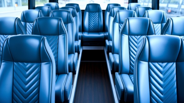 15 passenger minibus interior novi